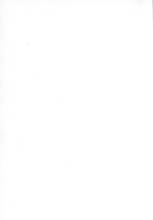 72243_OBJ-Thumbnail Image.jpg