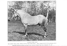72327_OBJ-Thumbnail Image.jpg