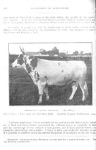 72349_OBJ-Thumbnail Image.jpg
