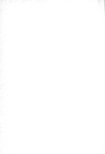 72403_OBJ-Thumbnail Image.jpg