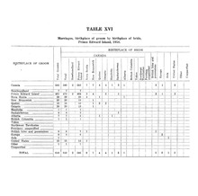 72641_OBJ-Thumbnail Image.jpg