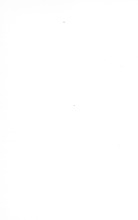 72656_OBJ-Thumbnail Image.jpg