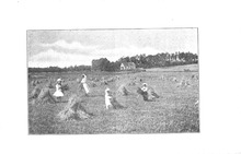72891_OBJ-Thumbnail Image.jpg