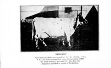 72959_OBJ-Thumbnail Image.jpg