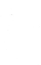 72990_OBJ-Thumbnail Image.jpg