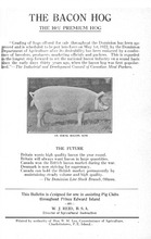 73033_OBJ-Thumbnail Image.jpg