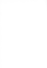 73206_OBJ-Thumbnail Image.jpg