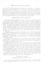 73291_OBJ-Thumbnail Image.jpg