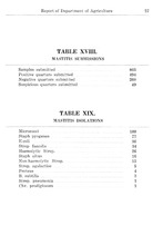 73341_OBJ-Thumbnail Image.jpg