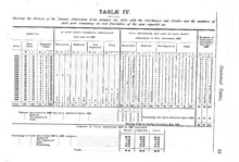 73343_OBJ-Thumbnail Image.jpg