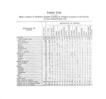 73365_OBJ-Thumbnail Image.jpg
