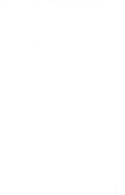 7352_OBJ-Thumbnail Image.jpg
