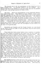 73778_OBJ-Thumbnail Image.jpg