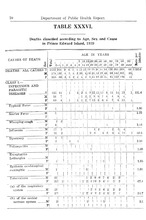 73895_OBJ-Thumbnail Image.jpg
