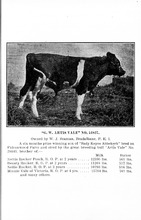 73936_OBJ-Thumbnail Image.jpg
