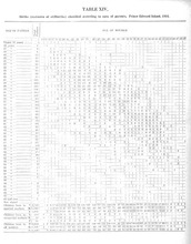 7399_OBJ-Thumbnail Image.jpg