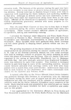 74151_OBJ-Thumbnail Image.jpg