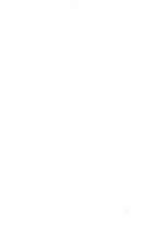 74293_OBJ-Thumbnail Image.jpg