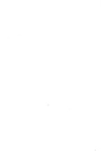 74398_OBJ-Thumbnail Image.jpg