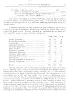 74440_OBJ-Thumbnail Image.jpg
