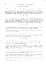 74546_OBJ-Thumbnail Image.jpg