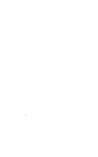 74686_OBJ-Thumbnail Image.jpg
