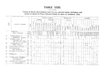 74867_OBJ-Thumbnail Image.jpg