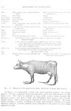74915_OBJ-Thumbnail Image.jpg