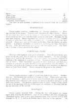 75097_OBJ-Thumbnail Image.jpg