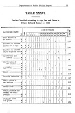 75183_OBJ-Thumbnail Image.jpg
