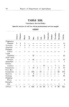 75269_OBJ-Thumbnail Image.jpg