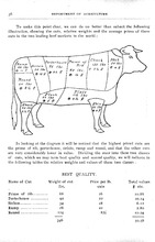 75281_OBJ-Thumbnail Image.jpg