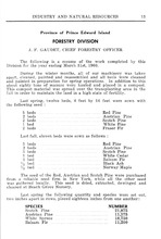 75297_OBJ-Thumbnail Image.jpg