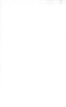 75340_OBJ-Thumbnail Image.jpg