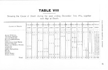 75763_OBJ-Thumbnail Image.jpg