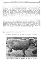 75875_OBJ-Thumbnail Image.jpg