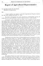 75893_OBJ-Thumbnail Image.jpg