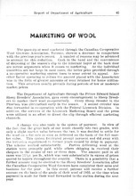 75896_OBJ-Thumbnail Image.jpg