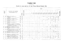 76132_OBJ-Thumbnail Image.jpg