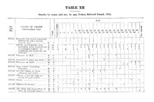 76249_OBJ-Thumbnail Image.jpg