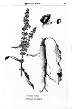 76432_OBJ-Thumbnail Image.jpg