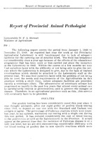 76630_OBJ-Thumbnail Image.jpg