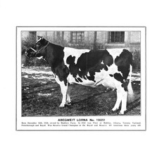 76763_OBJ-Thumbnail Image.jpg