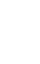 76785_OBJ-Thumbnail Image.jpg