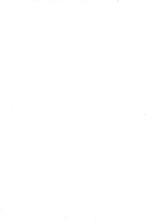76990_OBJ-Thumbnail Image.jpg