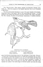 77124_OBJ-Thumbnail Image.jpg