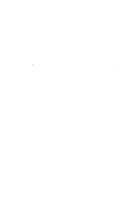 77198_OBJ-Thumbnail Image.jpg