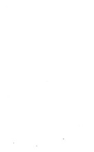 77200_OBJ-Thumbnail Image.jpg