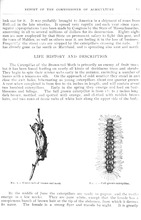 7953_OBJ-Thumbnail Image.jpg