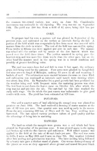 7967_OBJ-Thumbnail Image.jpg